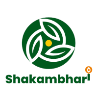 Untitled_design__4_-removebg-preview