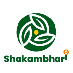 Untitled_design__4_-removebg-preview